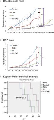 Celecoxib Blocks Vasculogenic Mimicry via an Off-Target Effect to <mark class="highlighted">Radiosensitize</mark> Lung Cancer Cells: An Experimental Study
